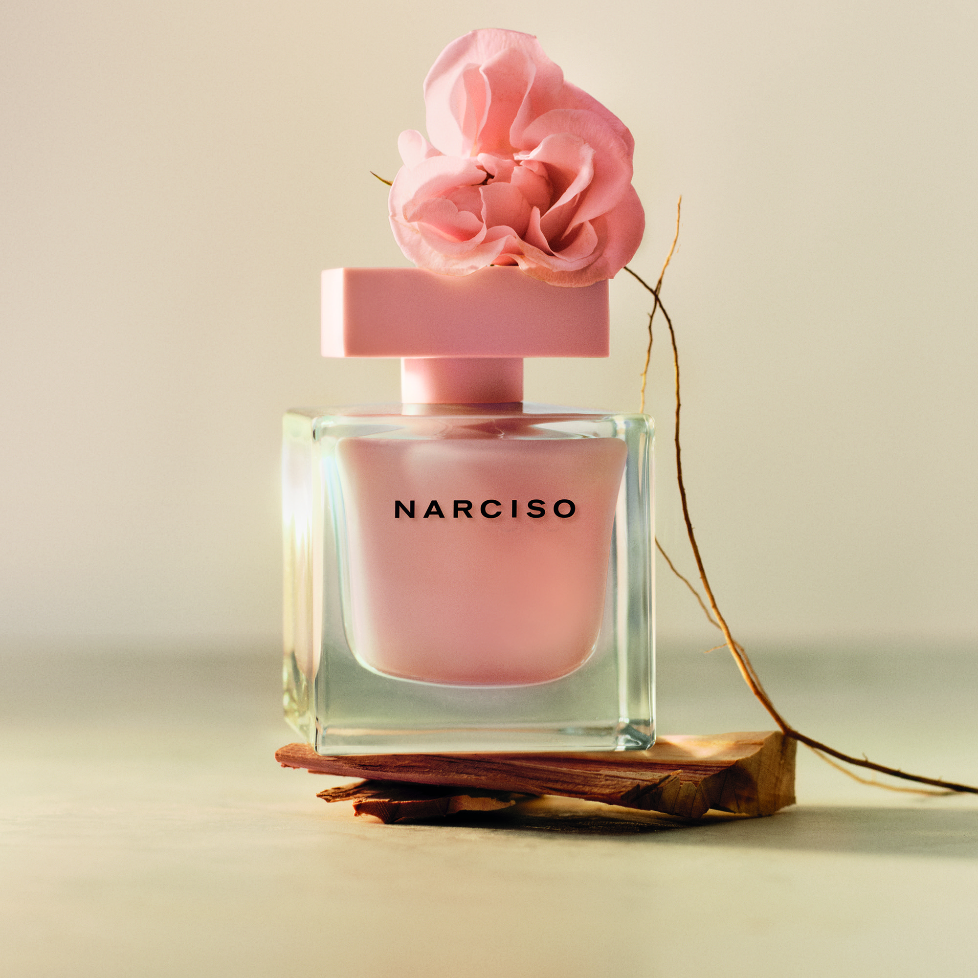 Narciso Poudree - الصورة 3